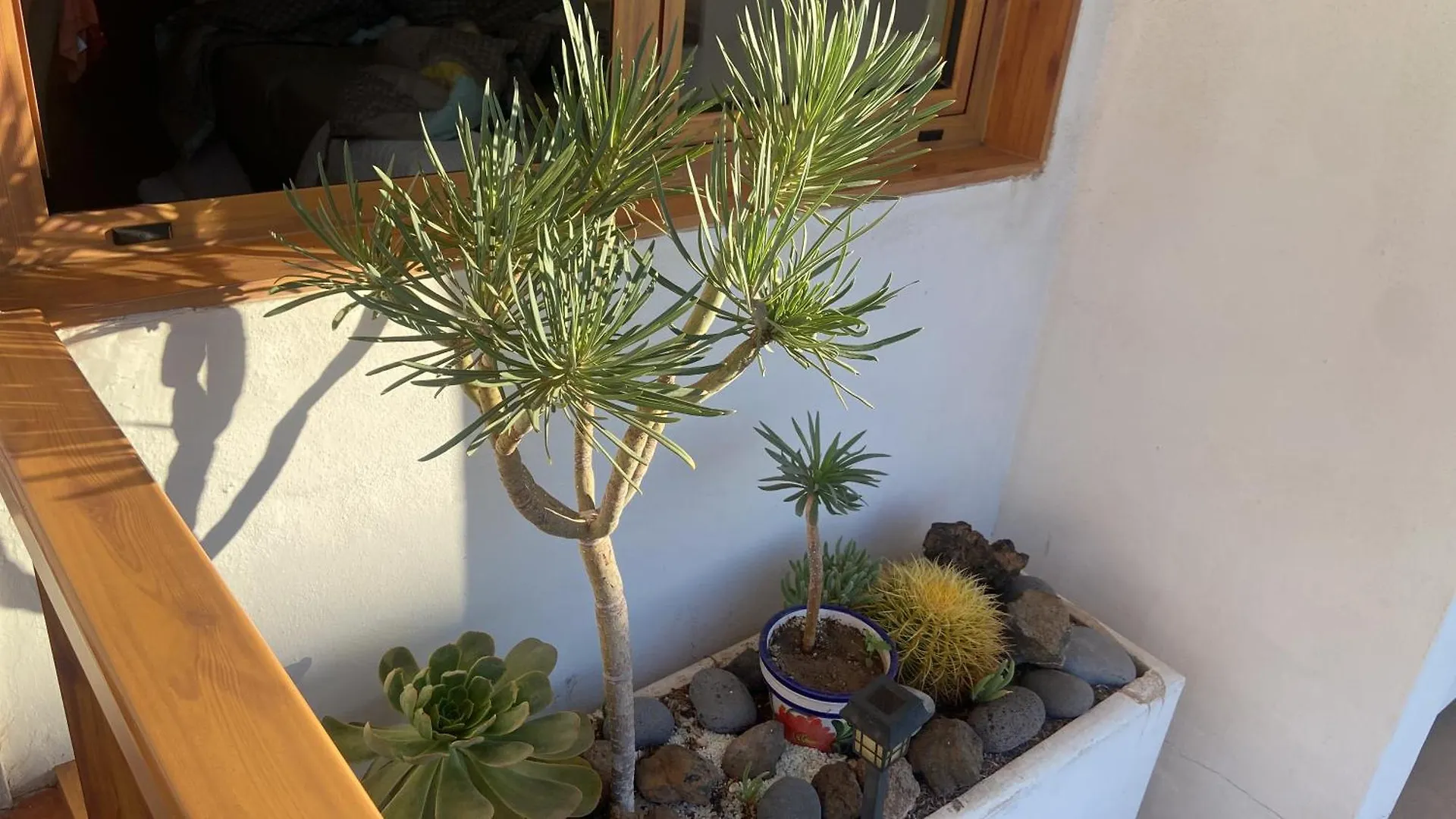Los Cristianos Near Las Vistas Beach Cactus 1 Arona  Apartament Arona (Tenerife)